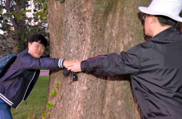 이재명 더불어민주당 대선 후보와 고 김문기 성남도시개발공사 개발1처장이 지난 2015년 해외 출장 때 뉴질랜드 오클랜드 알버트 공원에서 손을 잡고 있는 모습/고 김문기 처장 유족 제공