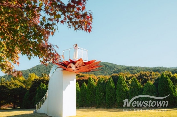 / 사진=정읍시 제공