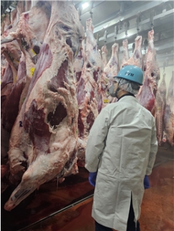 관련 사진