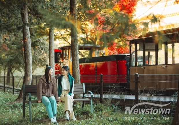 /사진=정읍시청 제공