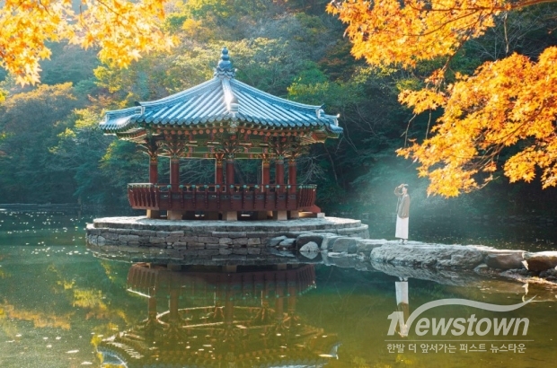 /사진=정읍시청 제공