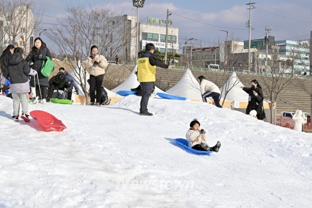 제8회 겨울공주 군밤축제