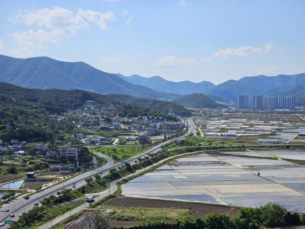 현곡면 금장교차로 전경