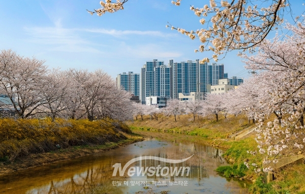 당진천