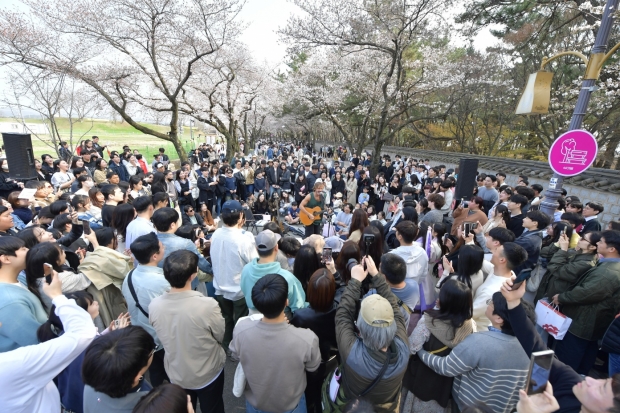 지난해 대릉원 돌담길 벚꽃축제 현장