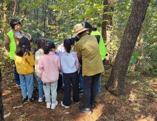 부천도원초등학교 학생들이 빛깔담은우리학교 사업 중 일부인 생태숲체험 프로그램에 참여하고 있다(사진제공-부천교육지원청)