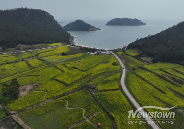 / 사진=진도군청 제공 