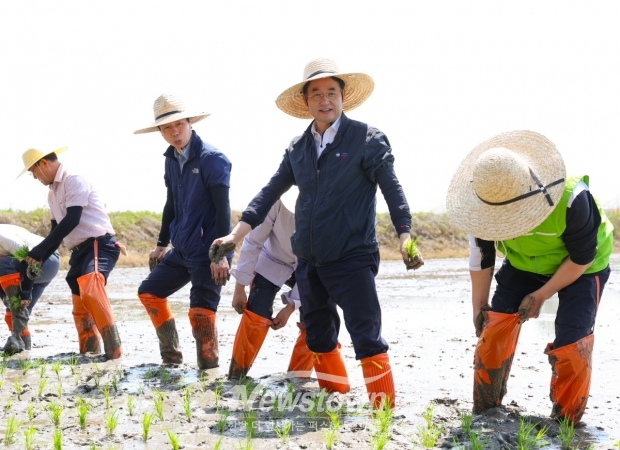 손 모내기를 하고 있는 이동환 고양특례시장