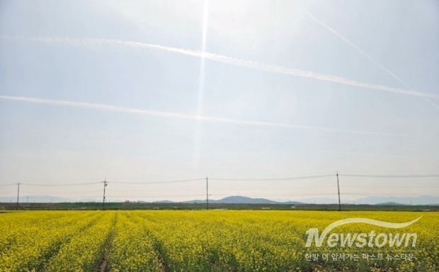 /사진=정읍시청 제공