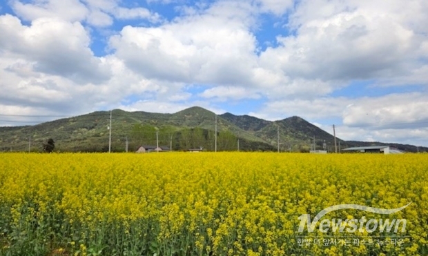 /사진=정읍시청 제공