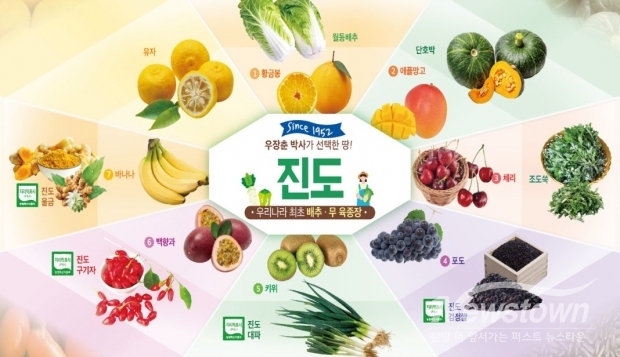 / 사진=진도군청 제공