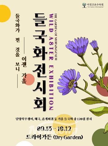 들국화 전시회