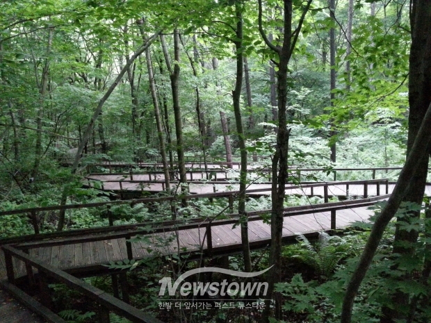 국립횡성숲체원 데크로드/국립횡성숲체원