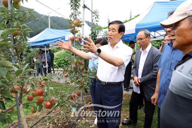 이지플 사과 현장 평가회