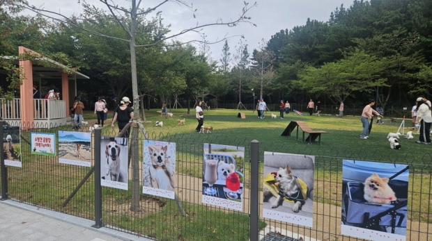 지난 12일 흥해읍 죽천리 영일만 근린공원에 조성된 반려동물 테마공원 ‘포항펫필드’의 개장식을 개최했다.