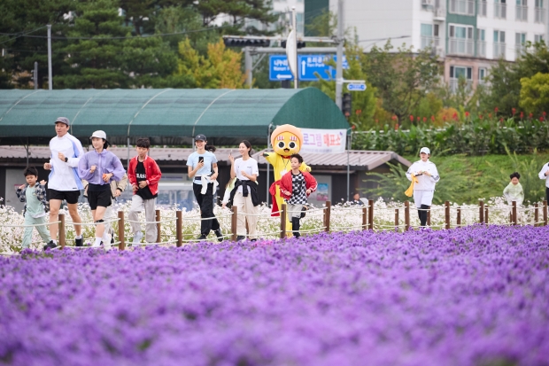 [사진설명] 양주시민들이 가을의 명소인 나리공원에서 천일홍 축제를 만끽하고 있다./양주시