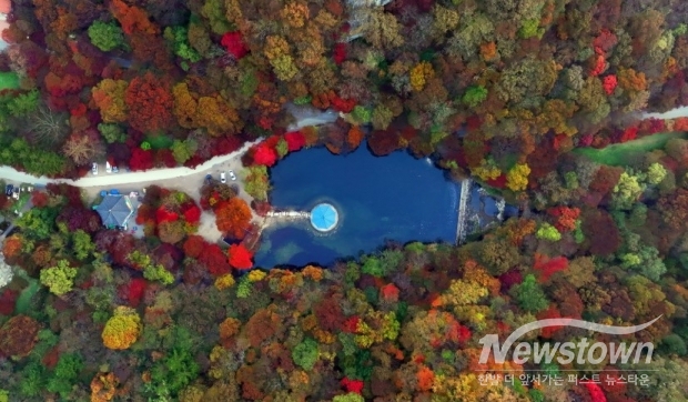 내장산 단풍 절경 Autumn leaves of Naejangsan Mountain are superb / 사진=정읍시청 제공