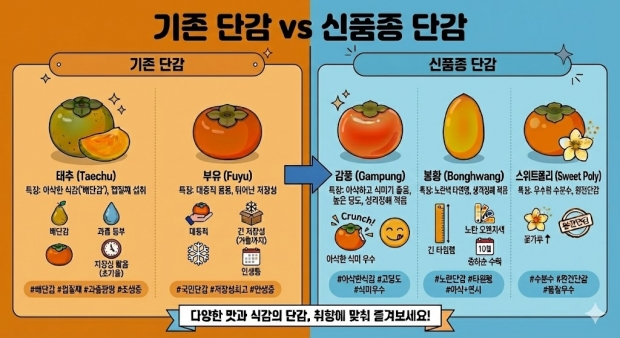 국산 단감 신품종 비교 안내 이미지 : 기존 일본 품종 단감과 국산 신품종 ‘감풍’, ‘봉황’, ‘스위트폴리’의 특성과 장점을 비교해 소개하고 있다.