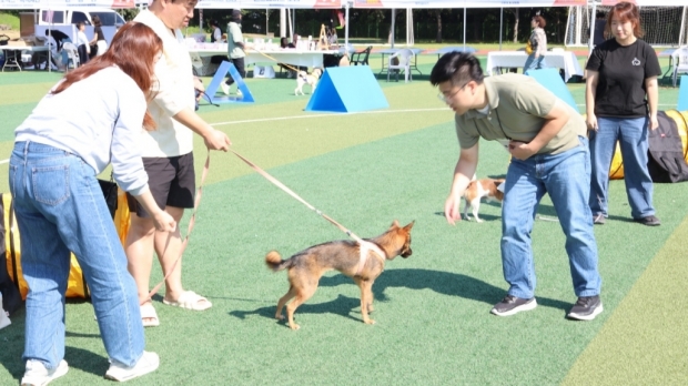 2024 열린 포항시 반려동물문화축제 모습