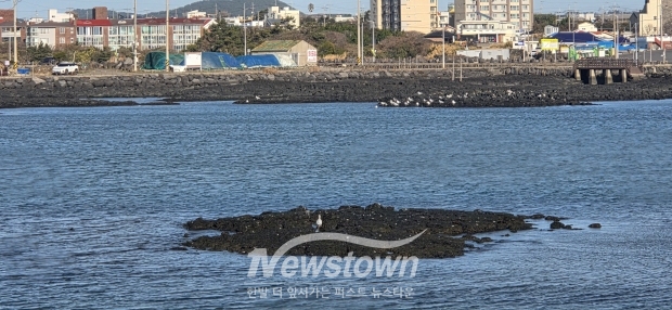 제주도 톤대섬 방파제 산책로 풍경사진