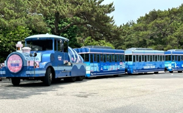 부산 태종대 다누비열차 모습(사진/부산관광공사)