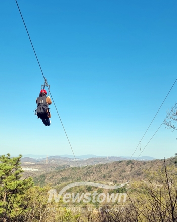 스카이어드벤처(사진 / 영인산자연휴양림 제공)