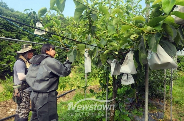 봄철 영농종합상황실 운영(사진 / 공주시 제공)