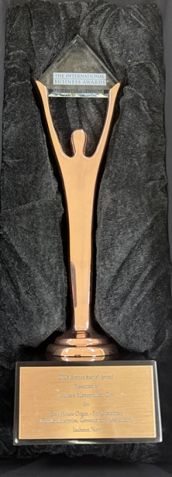 2025 국제 비즈니스대상(International Business Awards) 동상 트로피