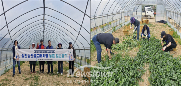 관련 사진 / 인천시
