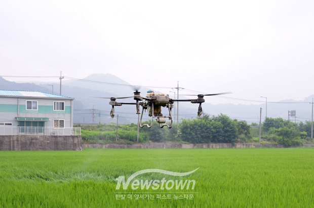 벼 병해충 항공 공동방제(사진 / 공주시 제공)