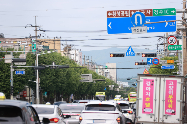 경주시가 전선 지중화사업을 추진하는 화랑로 구간