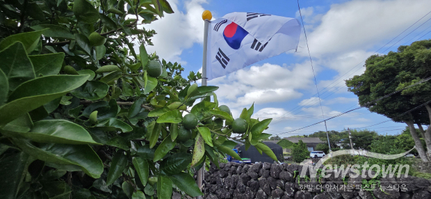 청명한 하늘 아래 나부끼고 있는 태극기. / 김동일 칼럼니스트