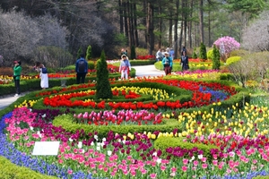 아침고요수목원, 봄 축제 ‘봄꽃페스타’ 개최