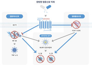 샤페론, ‘바이오 USA 2026’ 참가해 아토피 치료제 글로벌 기술이전 추진