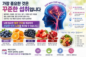 전문가들이 추천하는 “두뇌 건강에 좋은 과일 5가지”